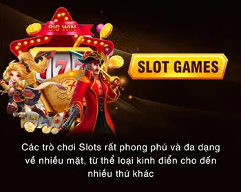 Hỗ trợ từ National Problem Gambling Council